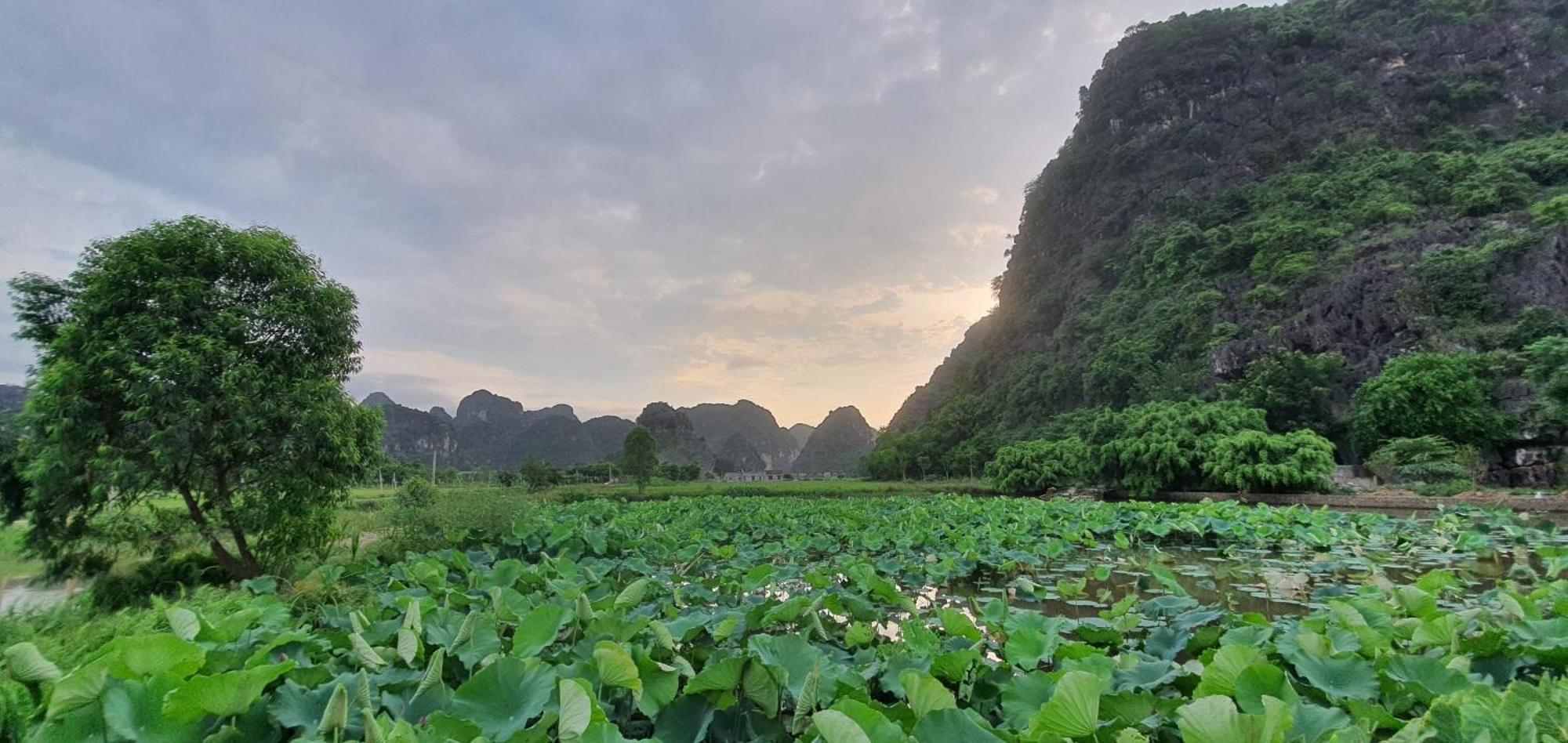 Trang An Rice Field Homestay Ninh Binh Exterior photo